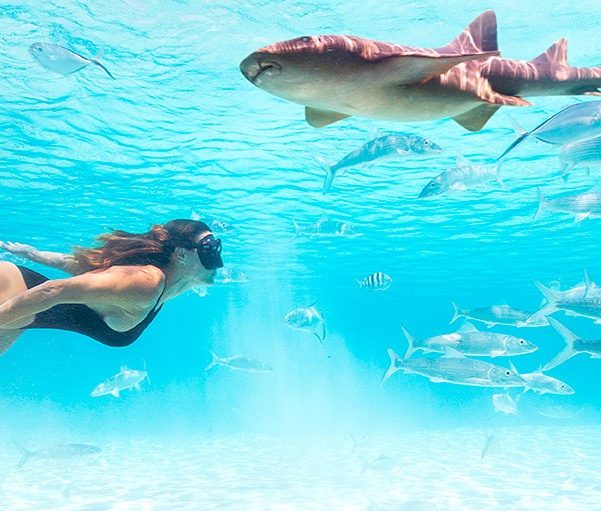 Exuma Cays Land and Sea Park